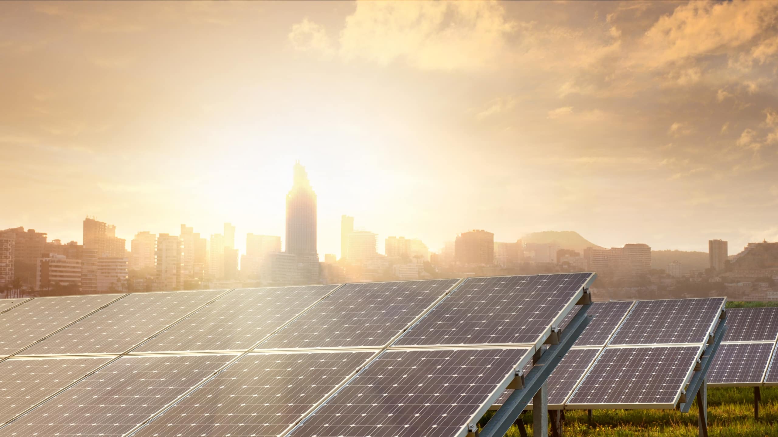 Solar panels with a city skyline in the background