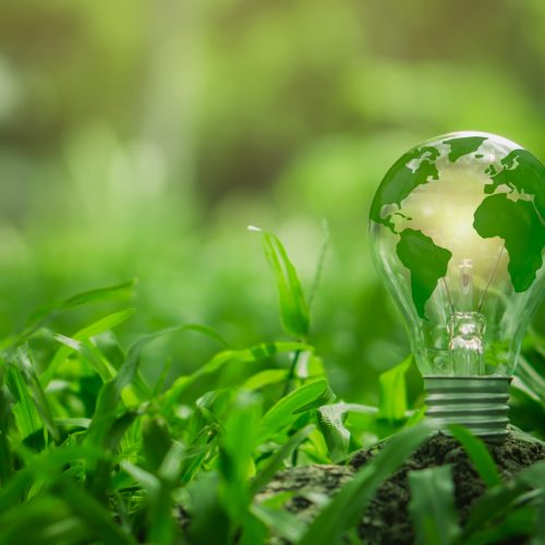 Light bulb with green world map on natural backgound represents renewable energy.Green energy,energy saving concept.